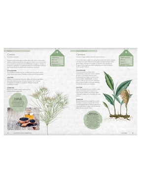 Libro Cultivar plantas aromáticas de Holly Farrell /Royal Botanic Gardens/Kew