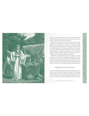 Libro El sendero del druida de John Michael Greer