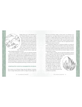 Libro El sendero del druida de John Michael Greer