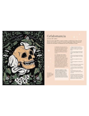 Libro Manual de adivinación de Lillian Verner-Bonds