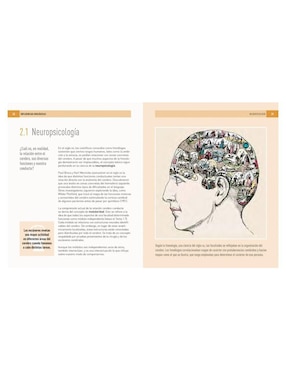 Libro Psicología: 100 conceptos de Christopher Sterling / Daniel Frings