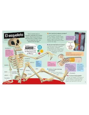 Libro Guía definitiva del cuerpo humano de Carla Nieto Martínez