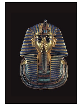 Libro Los Tesoros de Tutankhamón de Garry J. Shaw