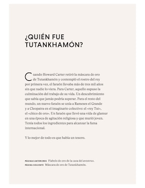 Libro Los Tesoros de Tutankhamón de Garry J. Shaw