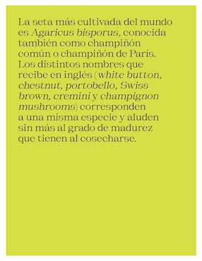 Libro El Futuro es Fúngico de Michael Lim y Yun Shu