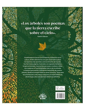 El Libro del Árbol de Micahel Scott / Ross Bayton / Andrew Mikolajski / Keith Rushforth