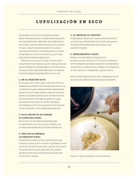 Libro El Arte de Elaborar Cerveza en Casa de Jaega Wise