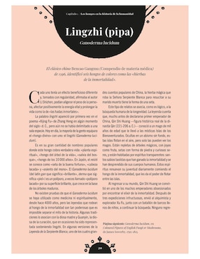 Libro La Magia de los Hongos de Sandra Lawrence / Royal Botanic Gardens