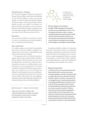 Libro Botanicum Medicinale: Guía ilustrada de Plantas Medicinales de Catherine Whitiock