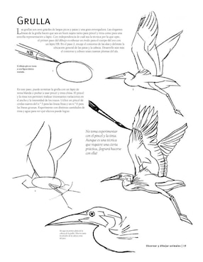 Libro Guía Completa de Dibujo: Animales