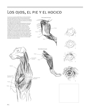 Libro Guía Completa de Dibujo. Animales Cuaderno de Ejercicios