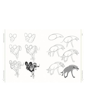 Libro 100 Animales de Cómic. Dibujo paso a paso de Keilidh Bradley
