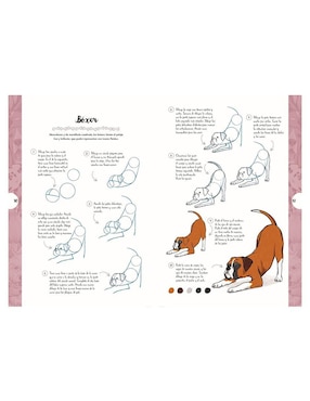 Libro Dibujar en 10 Pasos Perros de Justine Lecouffe