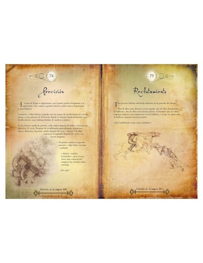 El Libro De Los Enigmas de Leonardo Da Vinci de Richard Wolfrik Galland
