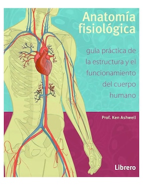 Anatomía Fisiológica De Prof. Ken Ashwell