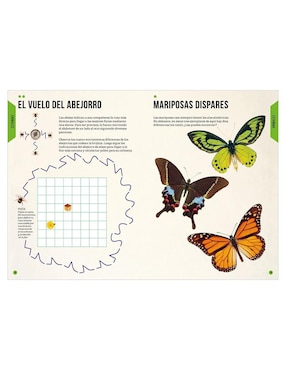 Libro Ciencias Naturales Pasatiempos y Enigmas de Gareth Moore