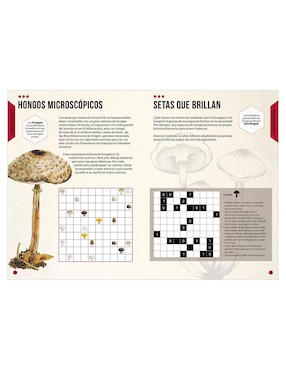 Libro Ciencias Naturales Pasatiempos y Enigmas de Gareth Moore