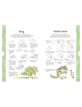 Libro Dibujar Animales y Plantas en 10 Pasos de Mary Woodin