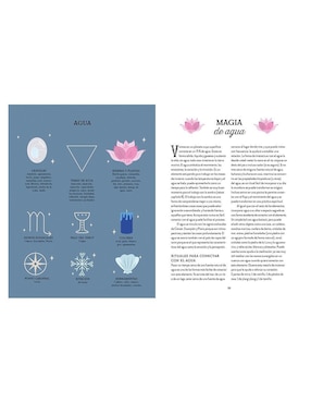 Libro Magia de la Tierra. Guía de la bruja del bosque de Lindsay Squire