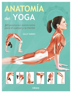 Anatomía Del Yoga De Sally Parkes