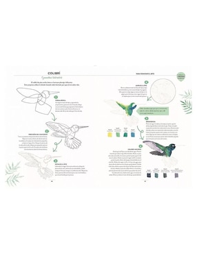 Libro Pintar Acuarelas en 10 Pasos. Aves de Eleanor Longhurst