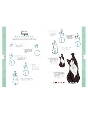 Libro Dibujar en 10 Pasos Gatos de Justine Lecoufee