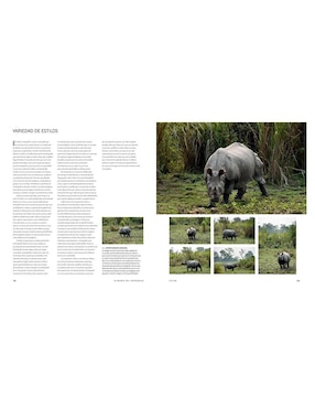 Libro La Mente del Fotógrafo de Michael Freeman