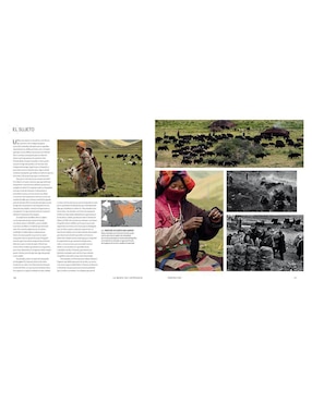 Libro La Mente del Fotógrafo de Michael Freeman