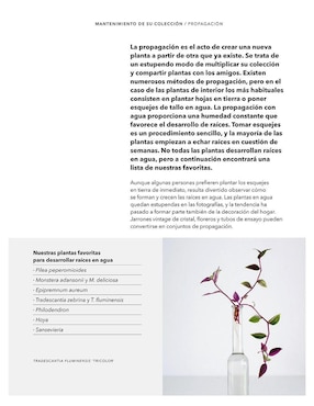 Plantas Cuidadas, Plantas Felices de Morgan Doane y Erin Harding