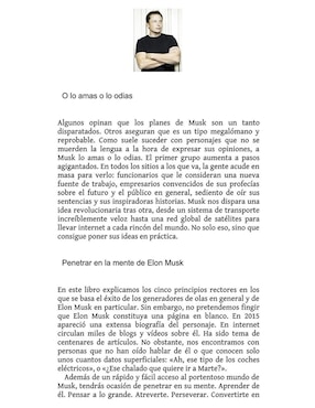 Musk Manía. Los 5 Principios de Elon Musk de Hans Van Der Loo y Patrick Davidson