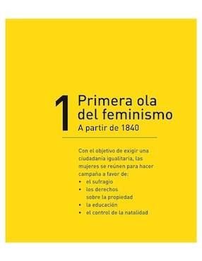 Historia del Movimiento Feminista Blume