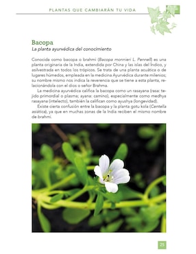 Plantas Que Cambiarán Tu Vida de Emilio Salas