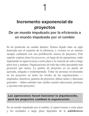 Manual Para La Dirección De Proyectos de Antonio Nieto-Rodríguez