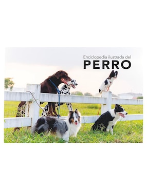 Enciclopedia ilustrada del perro de Carmen Martul