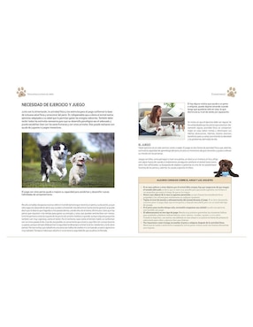 Enciclopedia ilustrada del perro de Carmen Martul