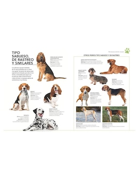 Enciclopedia ilustrada del perro de Carmen Martul