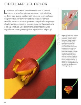 Michael Freeman sobre…color y tono de Michael Freeman