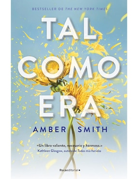 Tal Como Era De Amber Smith