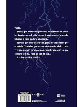 Libro El Vuelo de Ícaro de Caitlin Schneiderhan