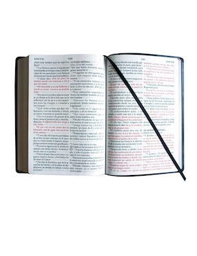 Libro Santa Biblia de Reina Valera