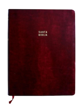 Biblia De Reina Valera