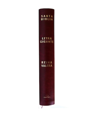 Libro Biblia de Reina Valera