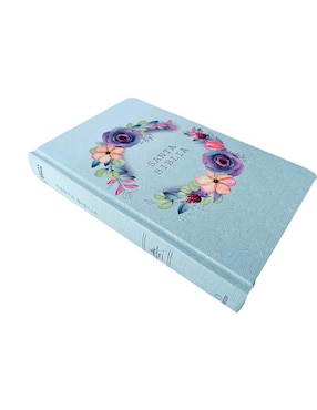 Libro Biblia de Reina Valera