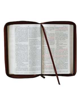 Libro Biblia Manual Reina Valera color canela