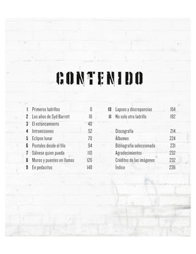 Libro Pink Floyd Tras el Muro de Hugh Fielder