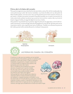 Libro Piedras Con Poderes Mágicos de Maria Jose Hernandez