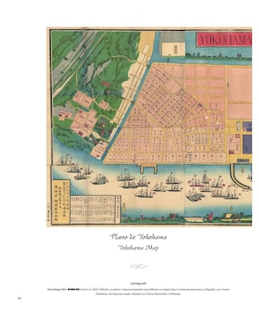 Libro Planos de Grandes Ciudades de Kevin J. Brown y Spencer D. Hunt