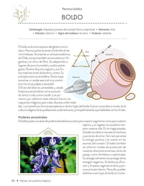 Libro Plantas Con Poderes Mágicos de Gemma Mateos