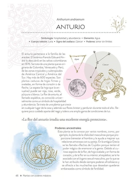 Libro Plantas Con Poderes Mágicos de Gemma Mateos