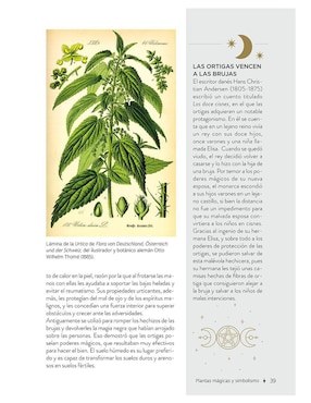 Libro Plantas Con Poderes Mágicos de Gemma Mateos